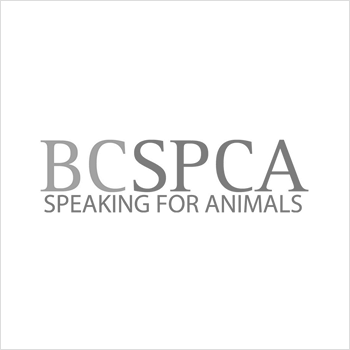 bcspsca logo